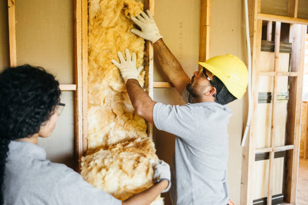 Best Insulation Contractors for Homes  in Balmville, NY